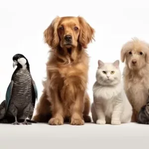 PRODOTTI PER ANIMALI